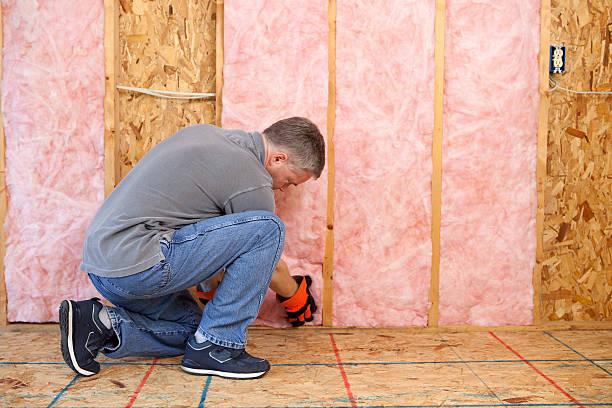 Types of Insulation We Offer in East Bronson, FL