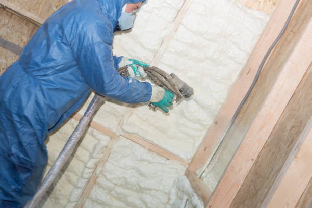 Best Reflective Insulation  in East Bronson, FL