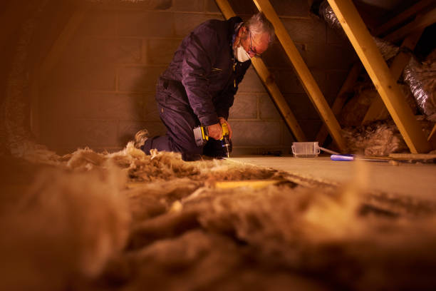 Best Batt and Roll Insulation  in East Bronson, FL