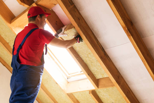 Best Eco-Friendly or Green Insulation Solutions  in East Bronson, FL